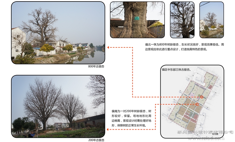 02三所微信中新海虞花园城绿化景观设计-01494